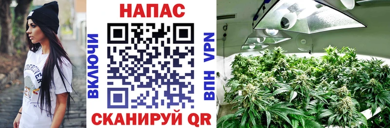 Какие есть наркотики Грайворон Гашиш Alpha-PVP Меф АМФ МАРИХУАНА