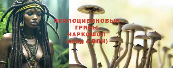 амфетамин Алексин