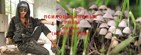 mdpv Алзамай