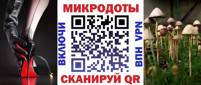 Галлюциногенные грибы Cubensis  kraken ТОР  Грайворон 